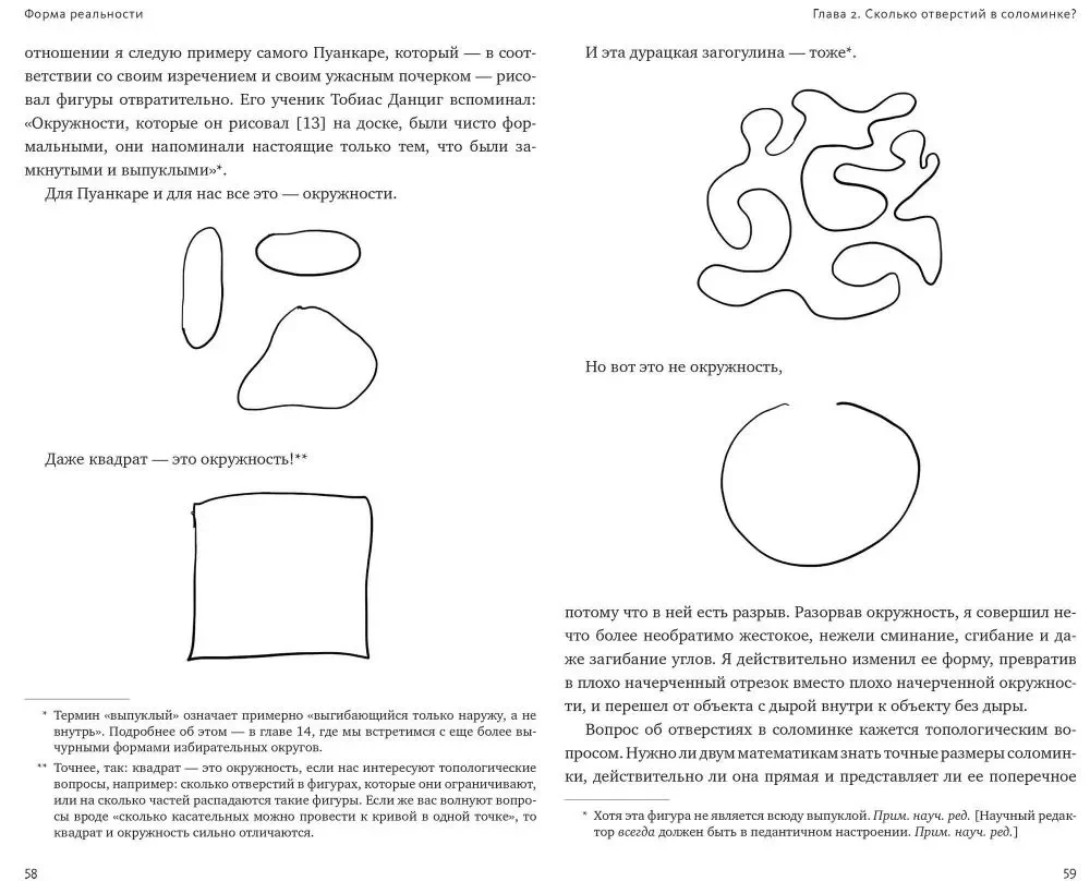 Form der Realität. Verborgene Geometrie von Strategie, Information, Gesellschaft, Biologie und allem anderen