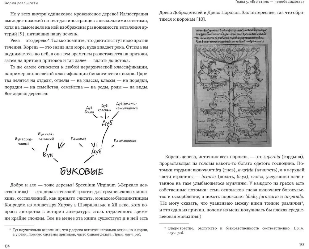 Form der Realität. Verborgene Geometrie von Strategie, Information, Gesellschaft, Biologie und allem anderen