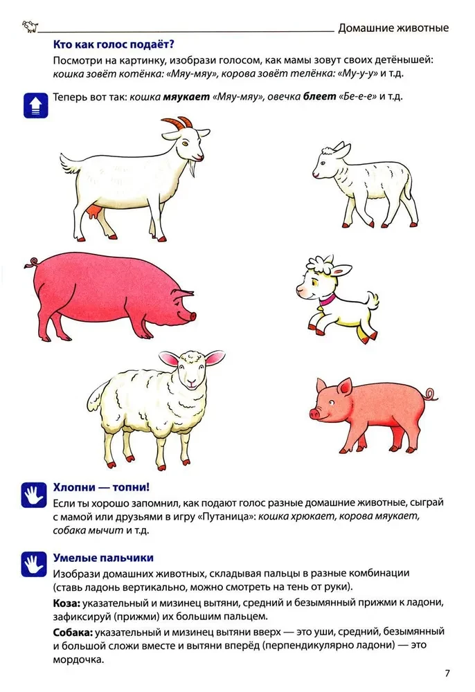 Формируем словарный запас (Выпуск 3). Домашние, дикие животные и птицы, рыбы, насекомые