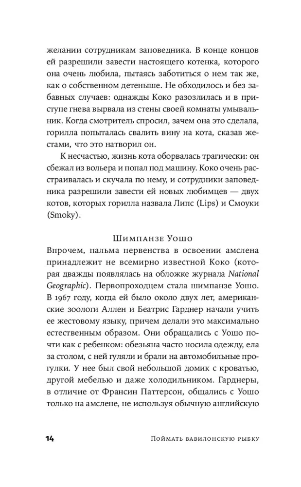 Поймать вавилонскую рыбку. Человеческий мозг, нейронные сети и изучение иностранных языков