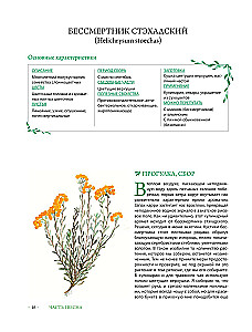 Гримуар травницы. Иллюстрированный справочник по сбору, заготовкам и полезным свойствам дикорастущих растений