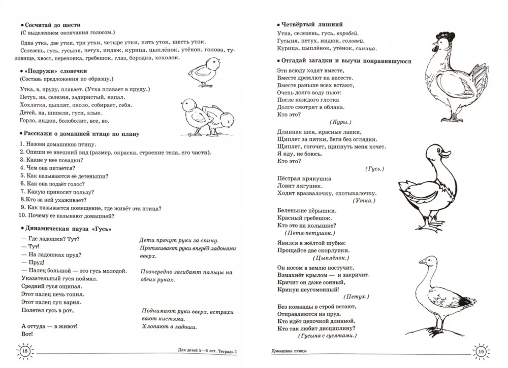 Wir lernen Wörter und Sätze. Sprachspiele und Übungen für Kinder im Alter von 5-6 Jahren. Heft 1