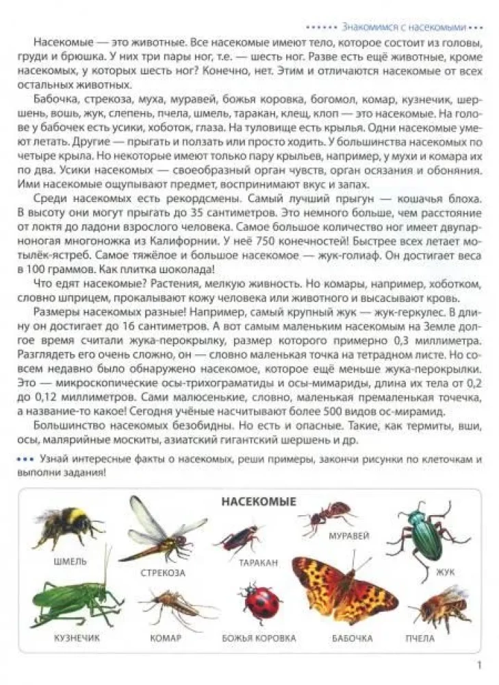 Wir gehen auf den Kästchen. Insekten. Grafische Diktate für Kinder von 6-7 Jahren