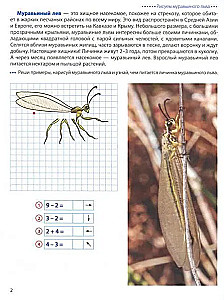 Wir gehen auf den Kästchen. Insekten. Grafische Diktate für Kinder von 6-7 Jahren