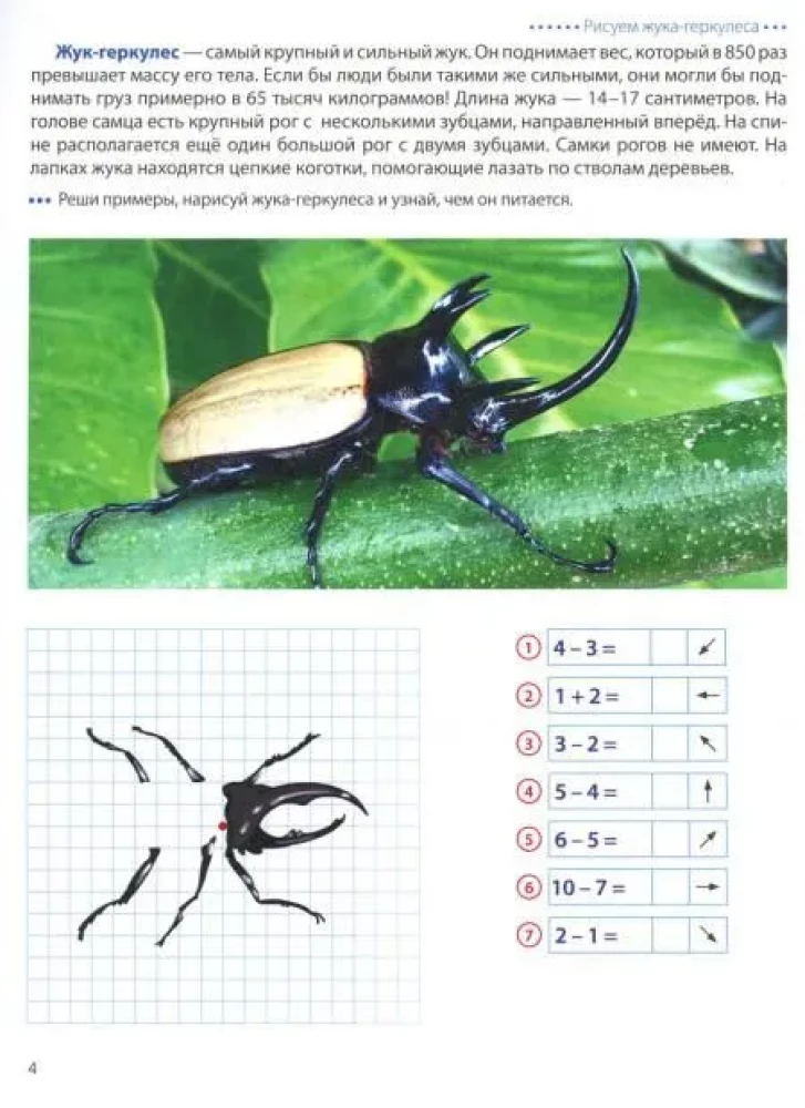 Wir gehen auf den Kästchen. Insekten. Grafische Diktate für Kinder von 6-7 Jahren