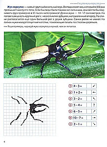 Wir gehen auf den Kästchen. Insekten. Grafische Diktate für Kinder von 6-7 Jahren