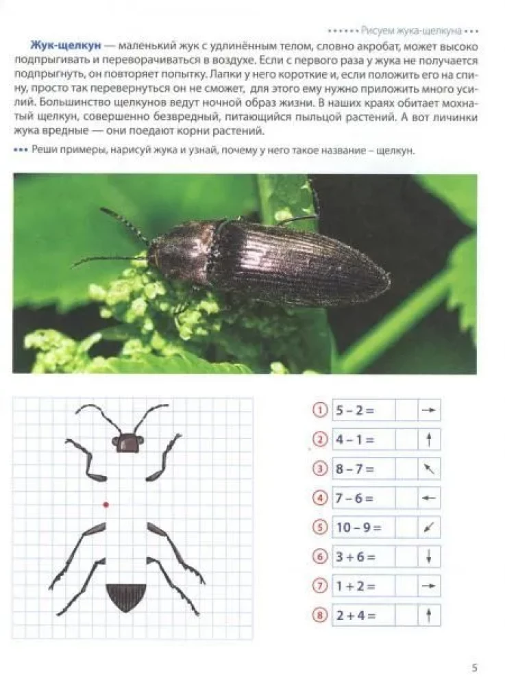 Wir gehen auf den Kästchen. Insekten. Grafische Diktate für Kinder von 6-7 Jahren