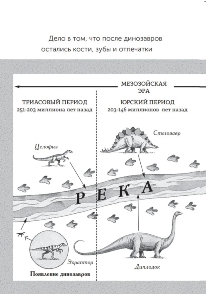 Dinosaurier im Zwielicht