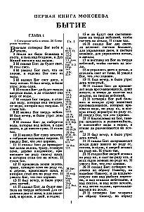 Die Bibel. Synodale Übersetzung von 1876