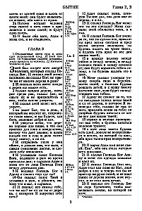 Die Bibel. Synodale Übersetzung von 1876