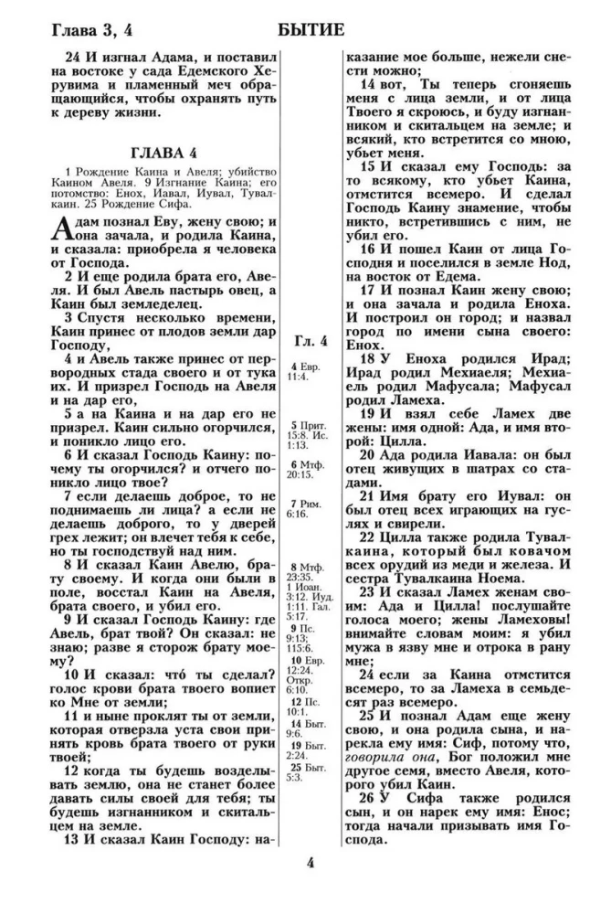 Die Bibel. Synodale Übersetzung von 1876