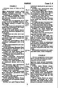 Die Bibel. Synodale Übersetzung von 1876