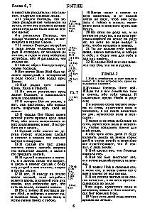 Die Bibel. Synodale Übersetzung von 1876