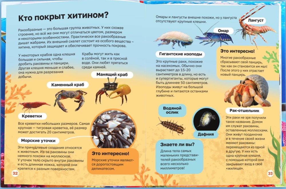 Энциклопедия в твёрдом переплёте. Подводный мир