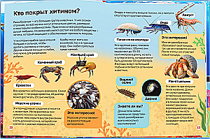 Энциклопедия в твёрдом переплёте. Подводный мир