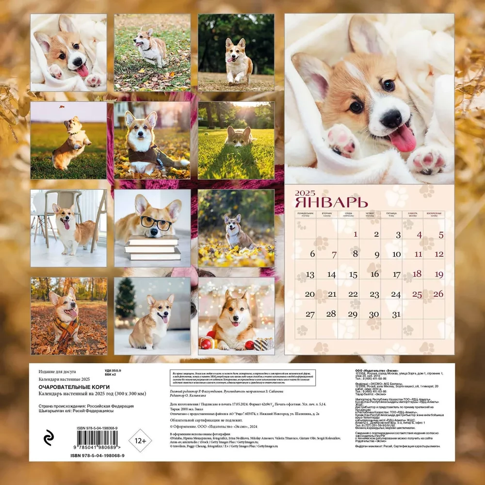 Charmante Corgis. Wandkalender für das Jahr 2025