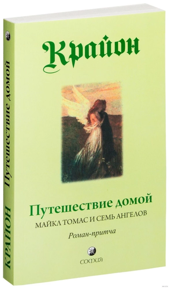 Крайон. Путешествие домой. Майкл Томас и семь ангелов