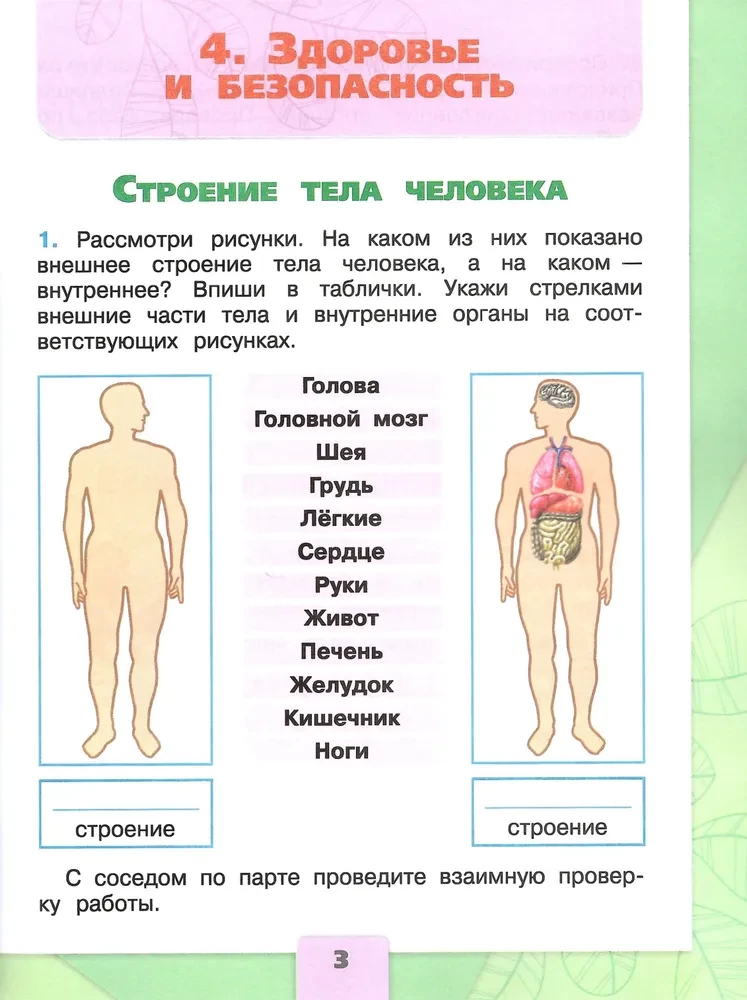 Окружающий мир. 2 класс. Рабочая тетрадь. В 2-х частях. Часть 2