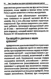 Повышенное давление, свет красный. Ответы на вопросы, которые вы хотели бы задать врачу