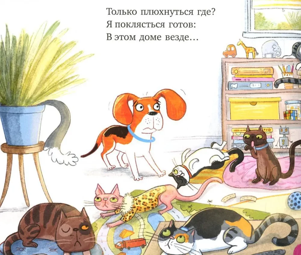 Слишком много котов