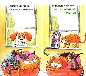 Слишком много котов