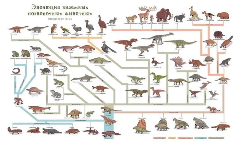 Atlas der ausgestorbenen Tiere