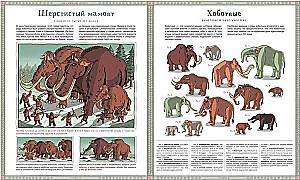 Atlas der ausgestorbenen Tiere