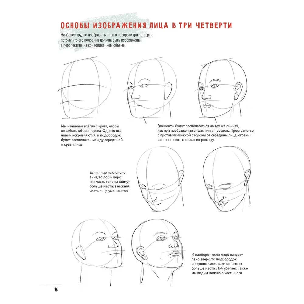 Porträts von Menschen erstellen. Skizzenbuch eines angehenden Künstlers