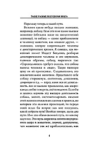 Такие разные полушария мозга. Об уме вообще, о русском уме в частности