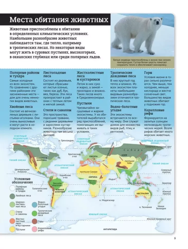 Kinderatlas. Tiere der Welt