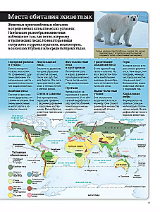 Kinderatlas. Tiere der Welt