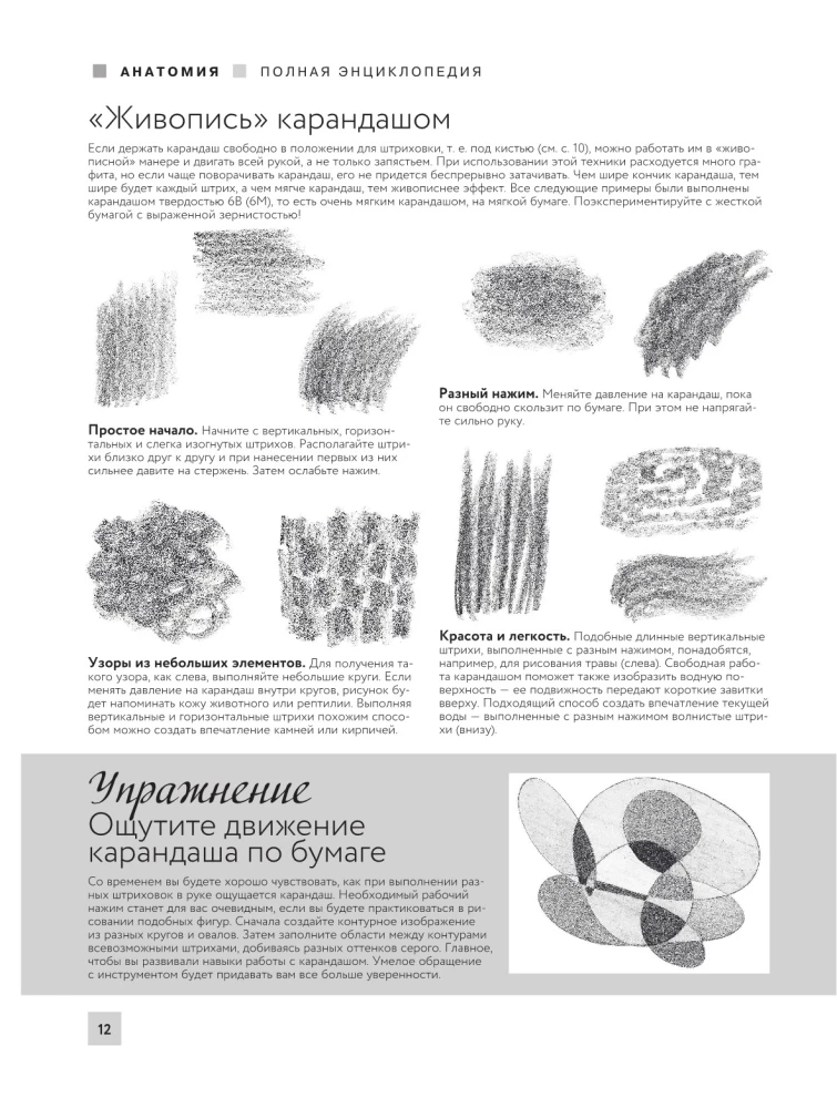 Anatomie für Künstler. Mehr als 50 Projekte. Vollständige Enzyklopädie