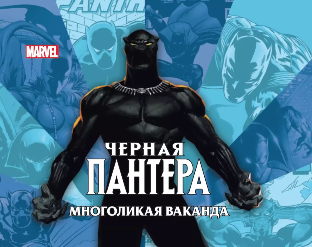 Schwarzer Panther: Vielgesichtiges Wakanda von J. Harrold