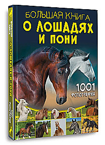 Большая книга о лошадях и пони. 1001 фотография