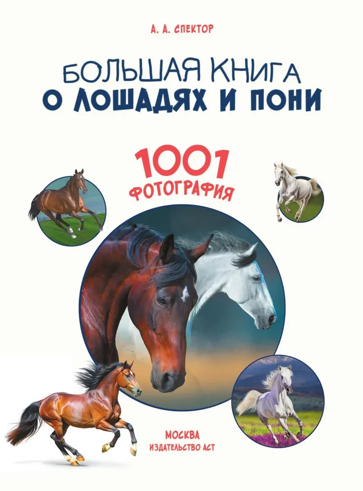 Большая книга о лошадях и пони. 1001 фотография