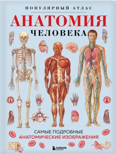 Анатомия человека. Популярный атлас. Самые подробные анатомические изображения