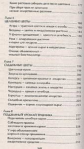 Наши дачные лекари - живые витамины. Овощные и дикорастущие растения