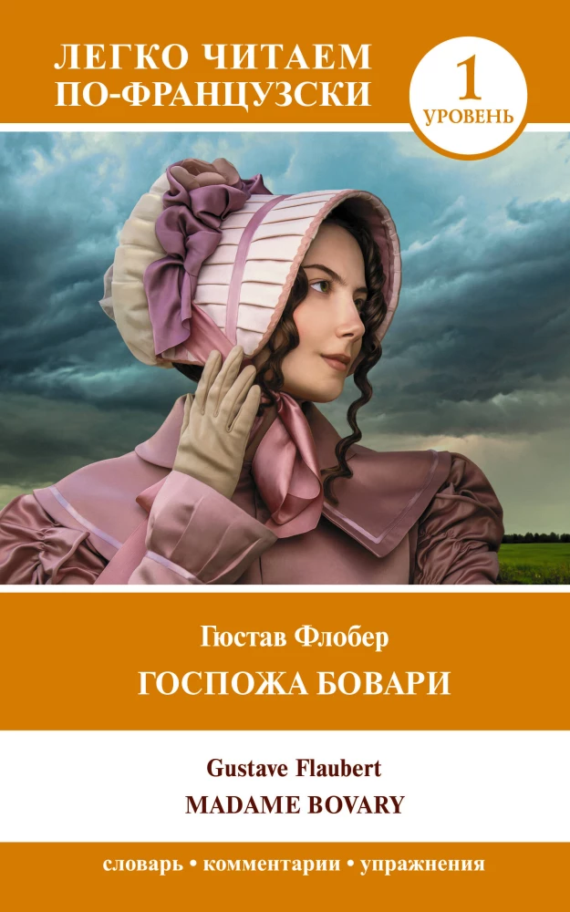 Madame Bovary. Niveau 1 / Madame Bovary