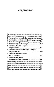 Die erstaunliche Mathematik. Wie Zahlentheorie und Mengenlehre Paradoxien der Unendlichkeit hervorbringen