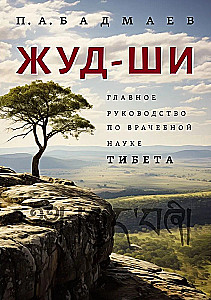 Жуд-Ши. Главное руководство по врачебной науке Тибета