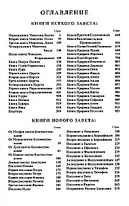 Библия каноническая в кожаном переплёте на молнии