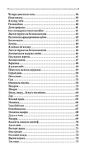 Немного больше, чем тишина. Сборник стихов