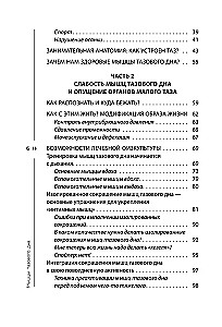 Мышцы тазового дна. Почему каждой женщине нужно знать, где они находятся и как их тренировать