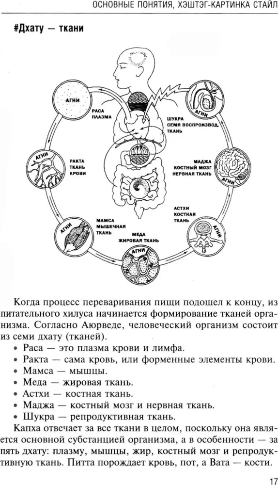 Аюрведа. Пособие по мужскому здоровью