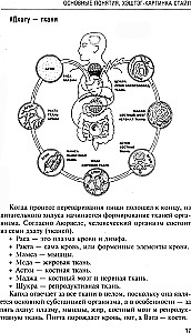 Аюрведа. Пособие по мужскому здоровью