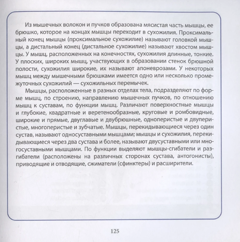 Анатомия человека. Компактный атлас. Опорно-двигательный аппарат