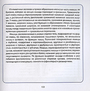 Анатомия человека. Компактный атлас. Опорно-двигательный аппарат