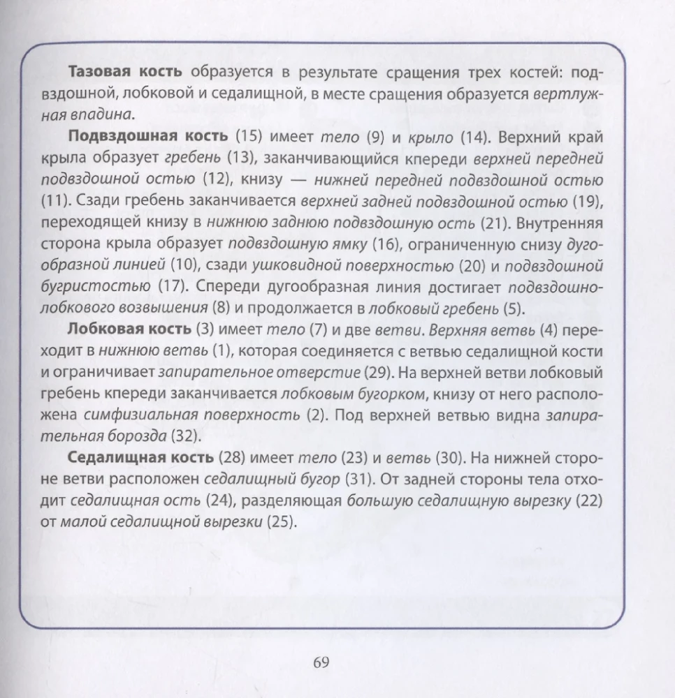 Анатомия человека. Компактный атлас. Опорно-двигательный аппарат