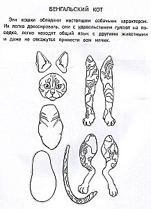 Бумажные котики. Вырежи, раскрась, играй. 12 готовых схем