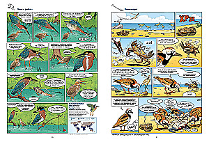 Vögel in Comics. Band 3